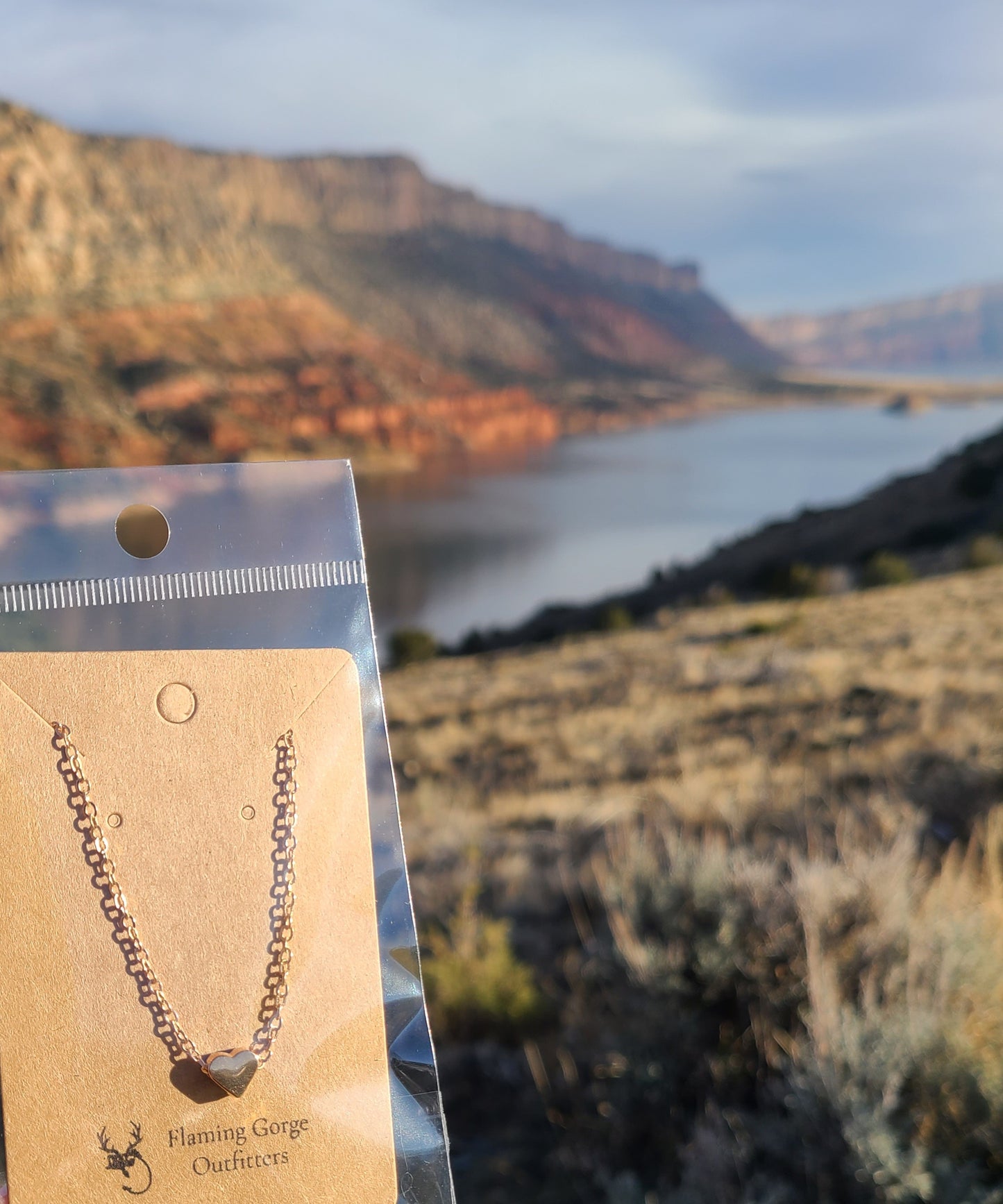The Minimalist Tiny Gold Heart Necklace
