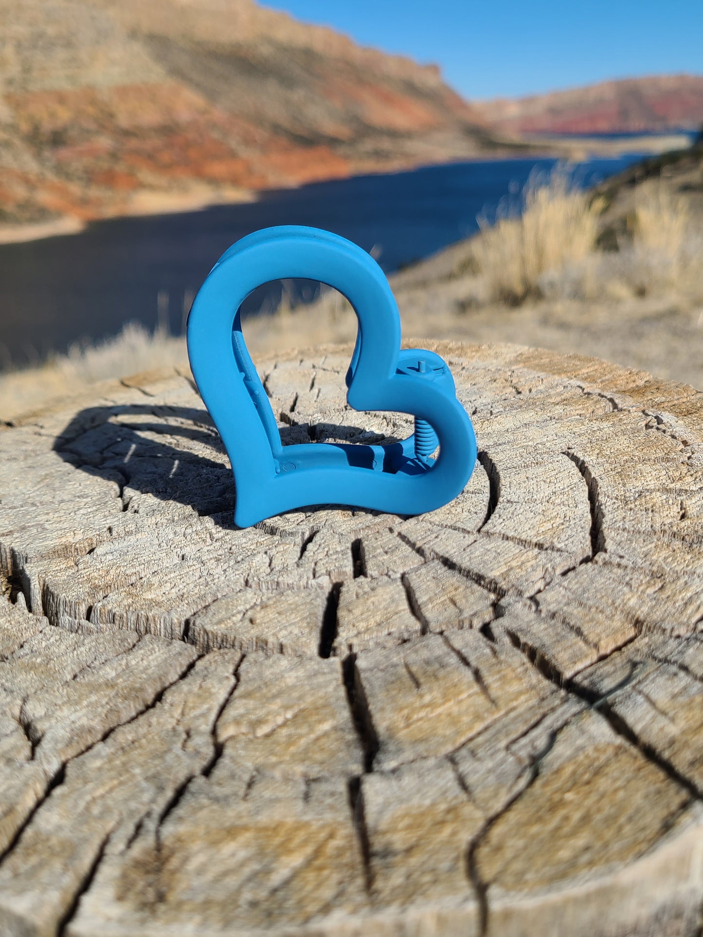 The Gorge Blue Heart Claw Clip