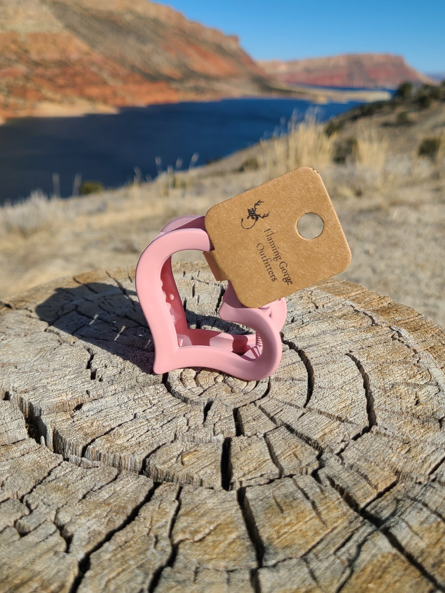Salmon Pink Heart Claw Clip